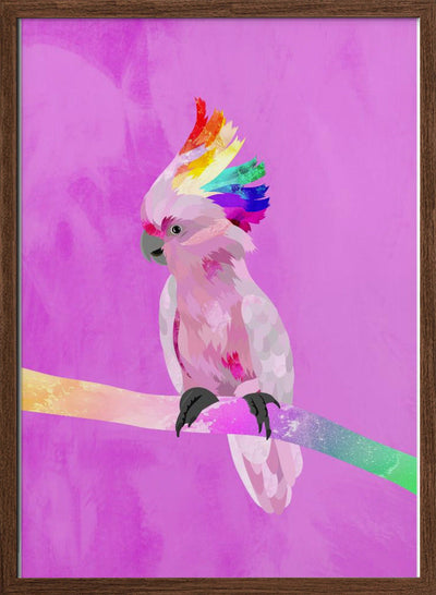 6 Rainbow Cockatoo 01 - Stretched Canvas, Poster or Fine Art Print I Heart Wall Art
