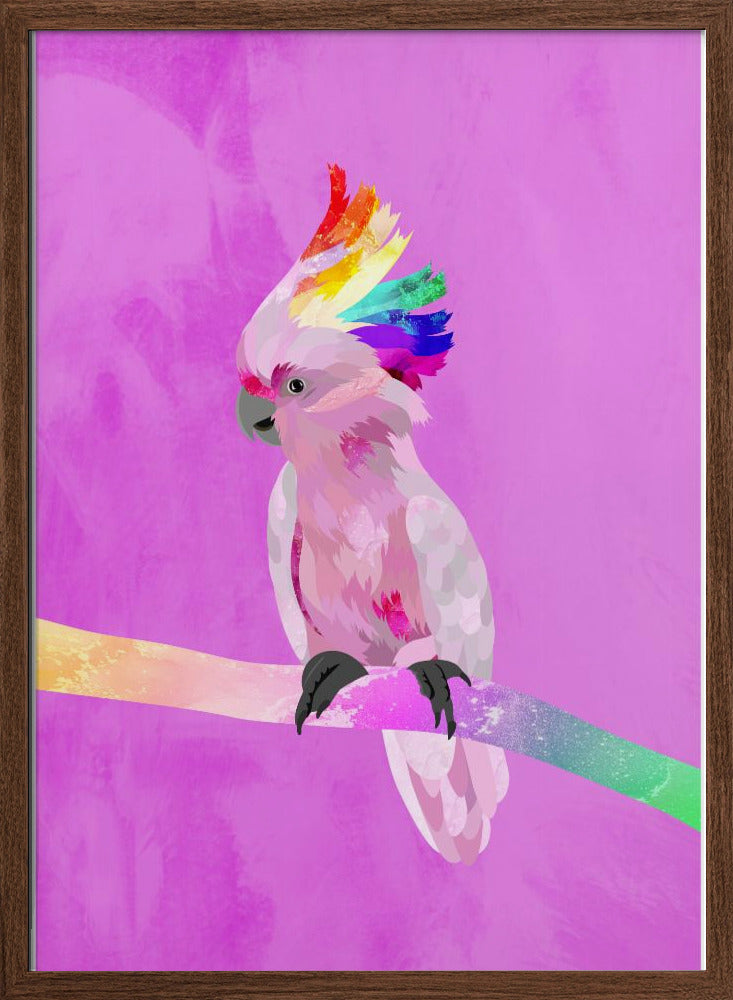 6 Rainbow Cockatoo 01 - Stretched Canvas, Poster or Fine Art Print I Heart Wall Art