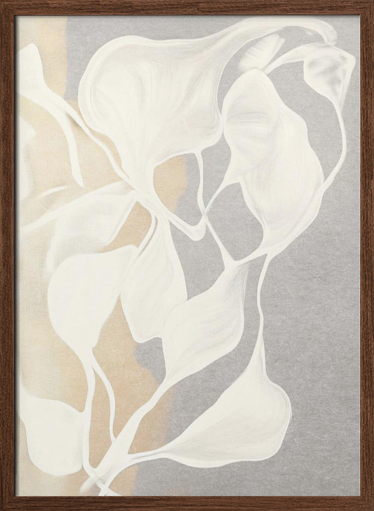 Whispers in White - Stretched Canvas, Poster or Fine Art Print I Heart Wall Art