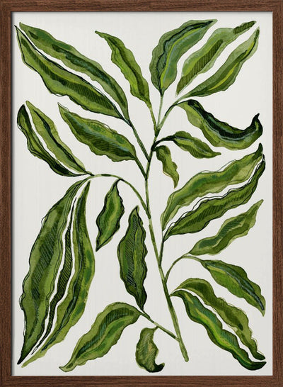 Sprig Of Leaves - Stretched Canvas, Poster or Fine Art Print I Heart Wall Art