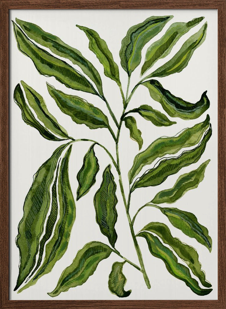 Sprig Of Leaves - Stretched Canvas, Poster or Fine Art Print I Heart Wall Art