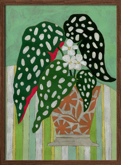 Begonia Maculata - Stretched Canvas, Poster or Fine Art Print I Heart Wall Art