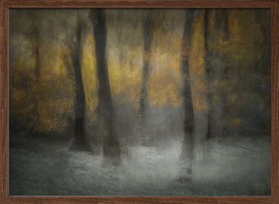 Dancing Trees - Stretched Canvas, Poster or Fine Art Print I Heart Wall Art