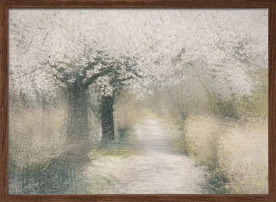 Cherry blossom - Stretched Canvas, Poster or Fine Art Print I Heart Wall Art