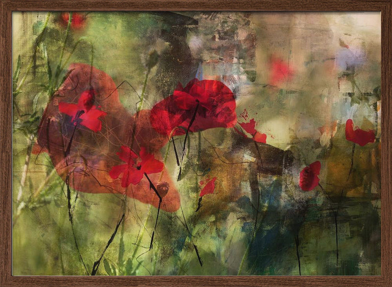 Poppies - Stretched Canvas, Poster or Fine Art Print I Heart Wall Art