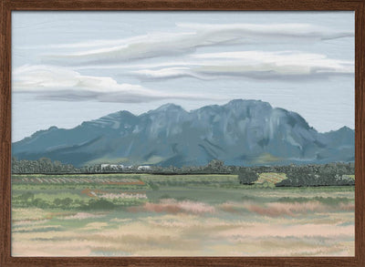 Veiled In Shadows, Rooted In Vines, Stellenbosch, South Africa - Stretched Canvas, Poster or Fine Art Print I Heart Wall Art