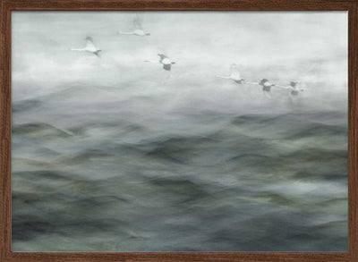 Swan Lake - Stretched Canvas, Poster or Fine Art Print