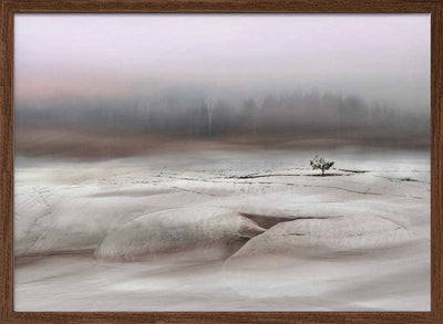 Solitude in White - Stretched Canvas, Poster or Fine Art Print