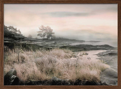 Morning Frost - Stretched Canvas, Poster or Fine Art Print