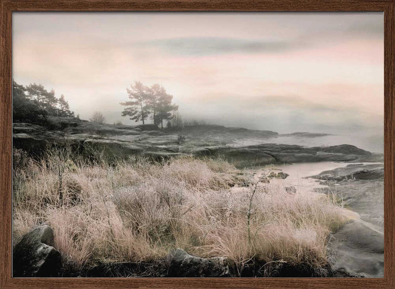 Morning Frost - Stretched Canvas, Poster or Fine Art Print