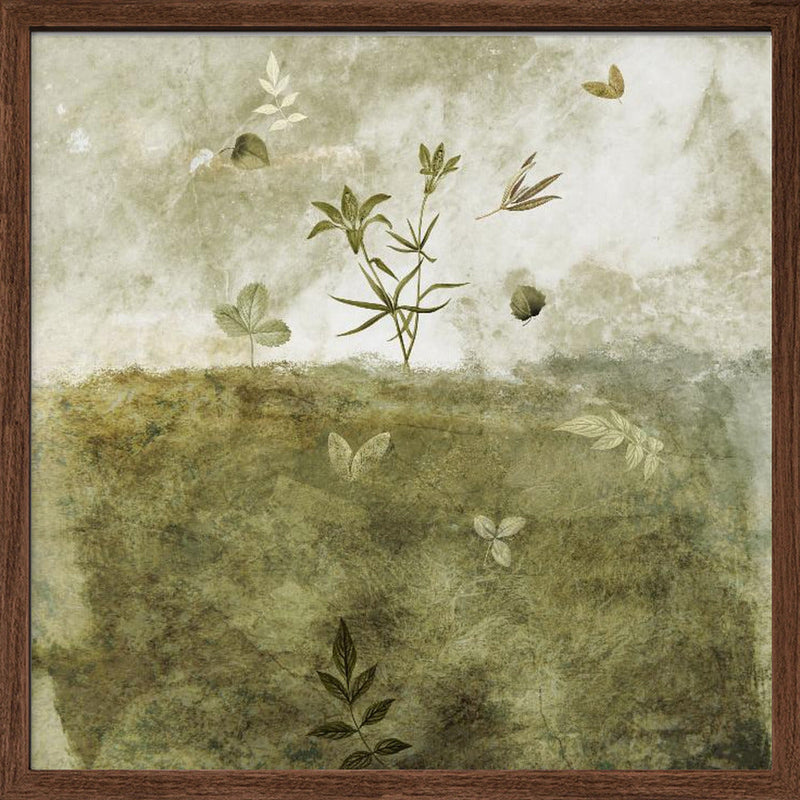 Olive - Square Stretched Canvas, Poster or Fine Art Print I Heart Wall Art