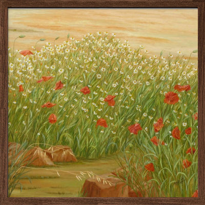 Daisies and  Poppies - Square Stretched Canvas, Poster or Fine Art Print I Heart Wall Art