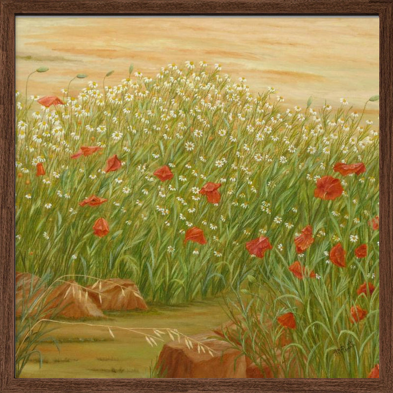 Daisies and  Poppies - Square Stretched Canvas, Poster or Fine Art Print I Heart Wall Art