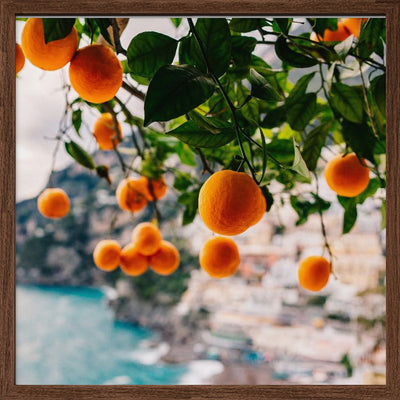 Amalfi Coast Oranges - Square Stretched Canvas, Poster or Fine Art Print I Heart Wall Art