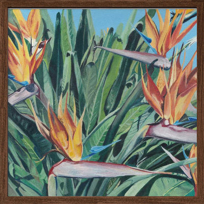 Stelitzia 3 By Viccy Wanliss - Square Stretched Canvas, Poster or Fine Art Print