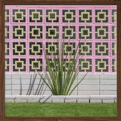 Mid-Century Breeze Block Wall with Cactus in Palm Springs, California - Square Stretched Canvas, Poster or Fine Art Print I Heart Wall Art