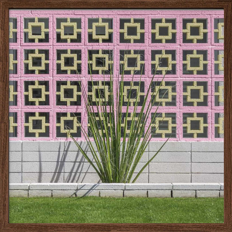 Mid-Century Breeze Block Wall with Cactus in Palm Springs, California - Square Stretched Canvas, Poster or Fine Art Print I Heart Wall Art