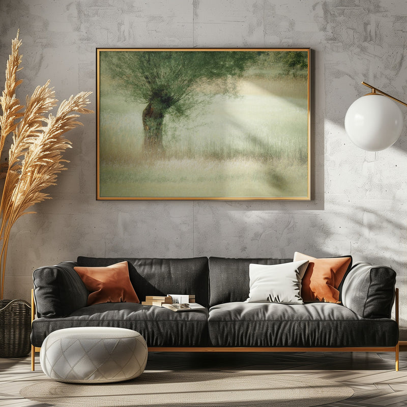 Willow - Stretched Canvas, Poster or Fine Art Print I Heart Wall Art