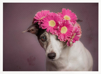 Mrs. Spring - Stretched Canvas, Poster or Fine Art Print I Heart Wall Art