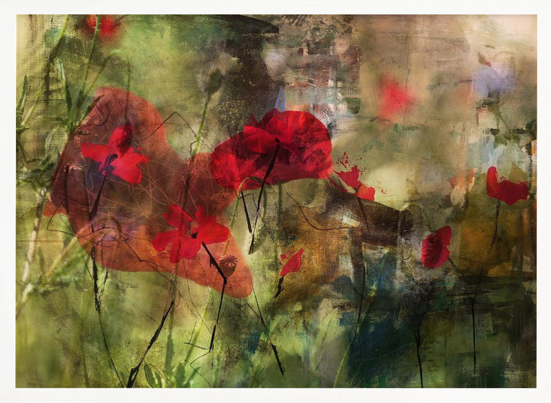 Poppies - Stretched Canvas, Poster or Fine Art Print I Heart Wall Art