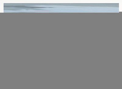 Streaking, Caprivi, Botswana - Stretched Canvas, Poster or Fine Art Print I Heart Wall Art