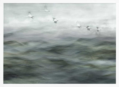 Swan Lake - Stretched Canvas, Poster or Fine Art Print