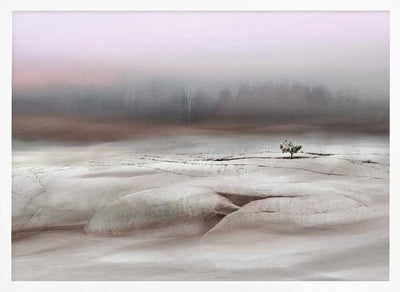 Solitude in White - Stretched Canvas, Poster or Fine Art Print