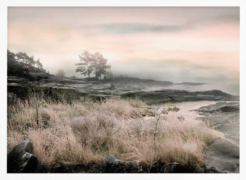 Morning Frost - Stretched Canvas, Poster or Fine Art Print