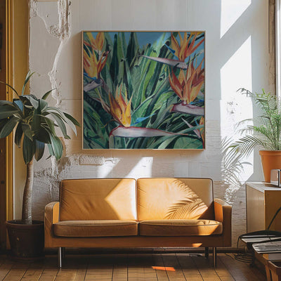 Stelitzia 3 By Viccy Wanliss - Square Stretched Canvas, Poster or Fine Art Print