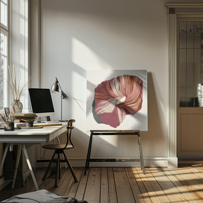 Floral Lines II - Square Stretched Canvas, Poster or Fine Art Print I Heart Wall Art