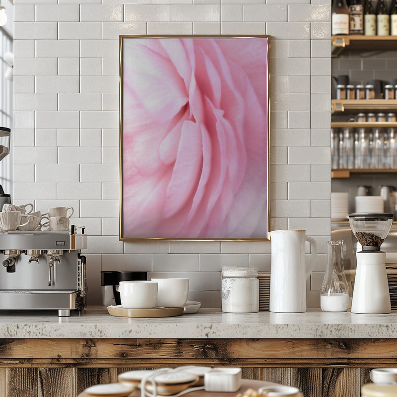 Soft pink petals - Stretched Canvas, Poster or Fine Art Print I Heart Wall Art