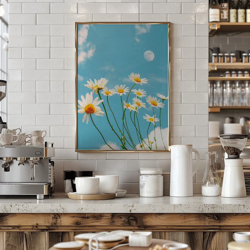 Magical Daisies - Stretched Canvas, Poster or Fine Art Print I Heart Wall Art