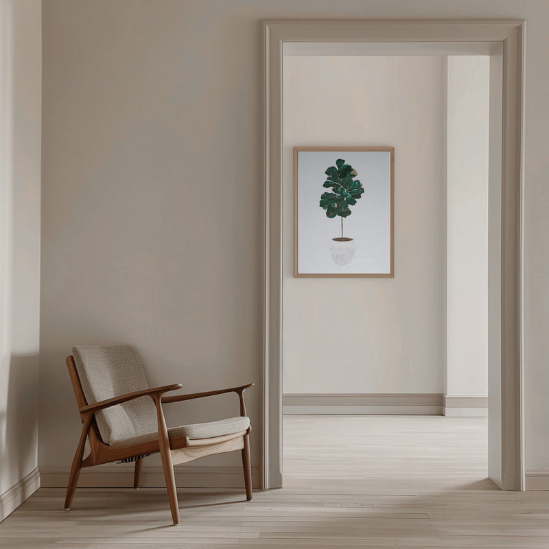 Fiddle leaf fig - Stretched Canvas, Poster or Fine Art Print I Heart Wall Art
