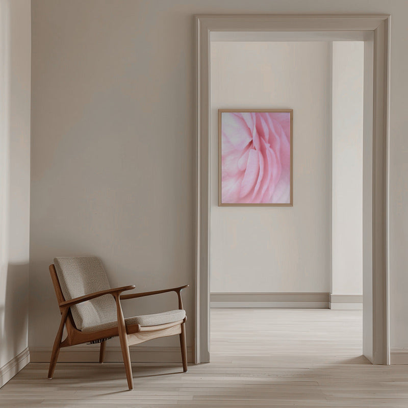Soft pink petals - Stretched Canvas, Poster or Fine Art Print I Heart Wall Art