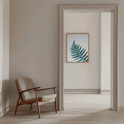 Watercolour fern - Stretched Canvas, Poster or Fine Art Print I Heart Wall Art