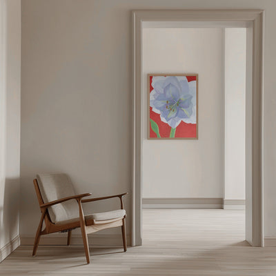 Vit Amaryllis - Stretched Canvas, Poster or Fine Art Print I Heart Wall Art