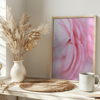 Soft pink petals - Stretched Canvas, Poster or Fine Art Print I Heart Wall Art