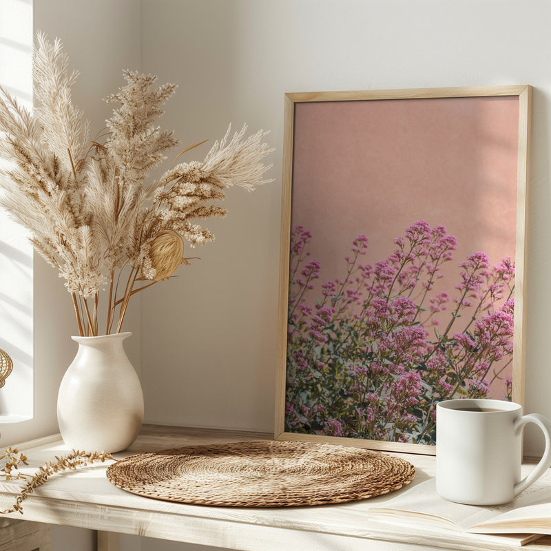 Summer Flowers - Stretched Canvas, Poster or Fine Art Print I Heart Wall Art