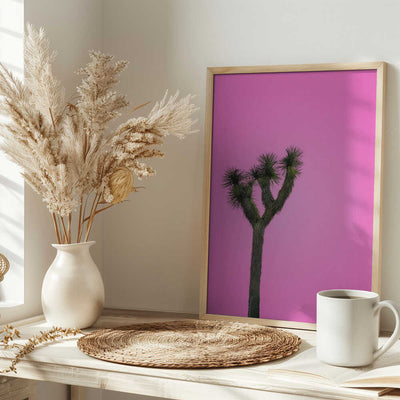 Joshua Tree with Pink Sky - Stretched Canvas, Poster or Fine Art Print I Heart Wall Art