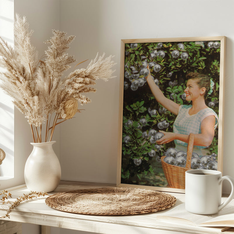 Disco Ball Grove - Stretched Canvas, Poster or Fine Art Print I Heart Wall Art