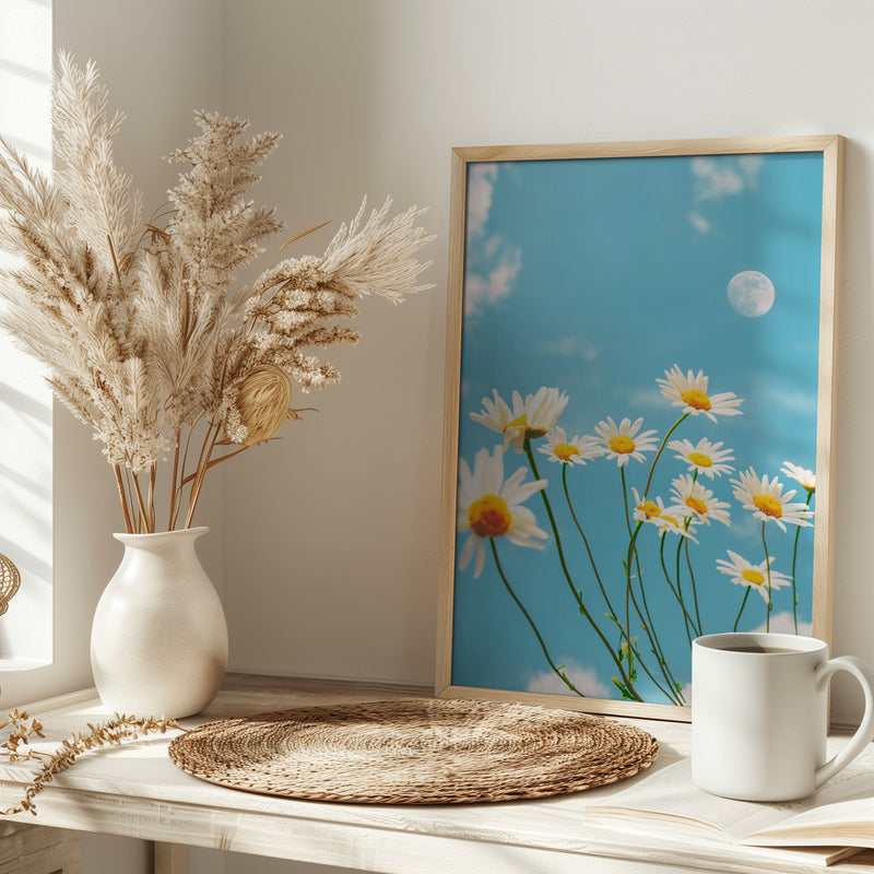 Magical Daisies - Stretched Canvas, Poster or Fine Art Print I Heart Wall Art