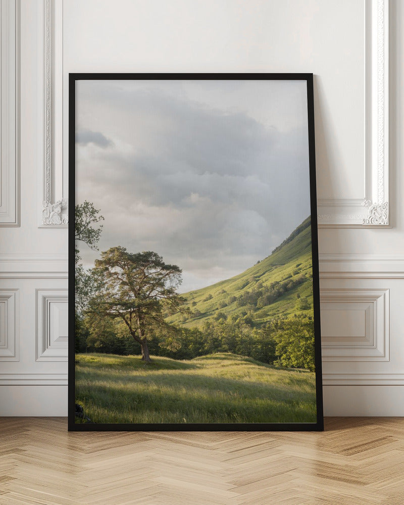 Into the Highlands - Stretched Canvas, Poster or Fine Art Print I Heart Wall Art