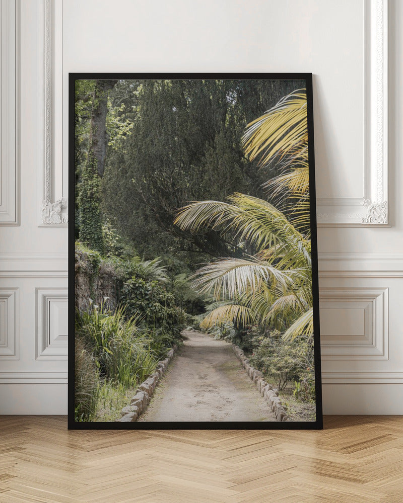 Tropical Walk - Stretched Canvas, Poster or Fine Art Print I Heart Wall Art