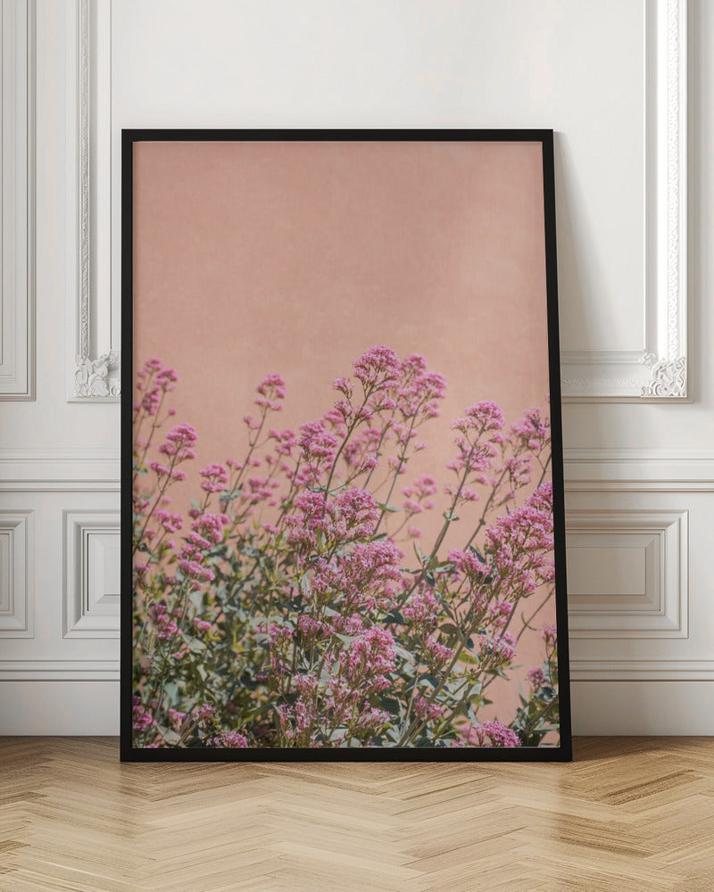 Summer Flowers - Stretched Canvas, Poster or Fine Art Print I Heart Wall Art