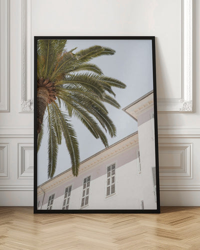 Tropical Menton - Stretched Canvas, Poster or Fine Art Print I Heart Wall Art