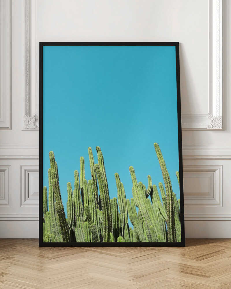 Cactus Reaching for the Sky - Stretched Canvas, Poster or Fine Art Print I Heart Wall Art