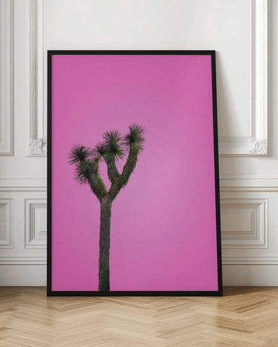 Joshua Tree with Pink Sky - Stretched Canvas, Poster or Fine Art Print I Heart Wall Art