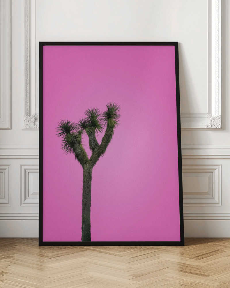 Joshua Tree with Pink Sky - Stretched Canvas, Poster or Fine Art Print I Heart Wall Art