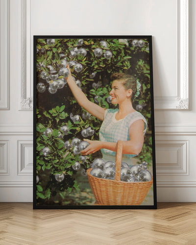 Disco Ball Grove - Stretched Canvas, Poster or Fine Art Print I Heart Wall Art