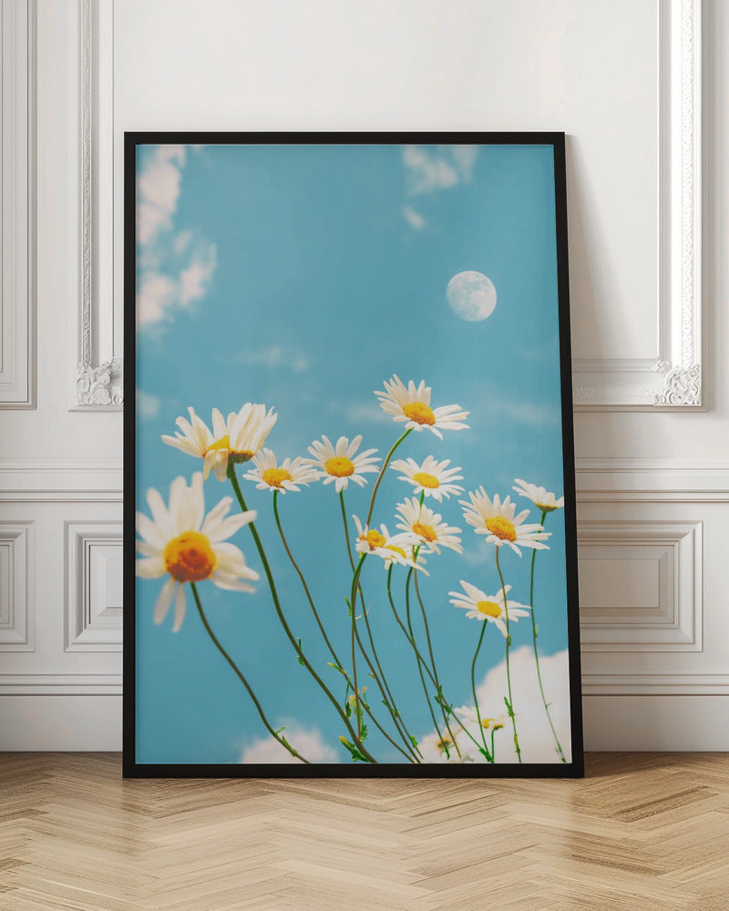 Magical Daisies - Stretched Canvas, Poster or Fine Art Print I Heart Wall Art